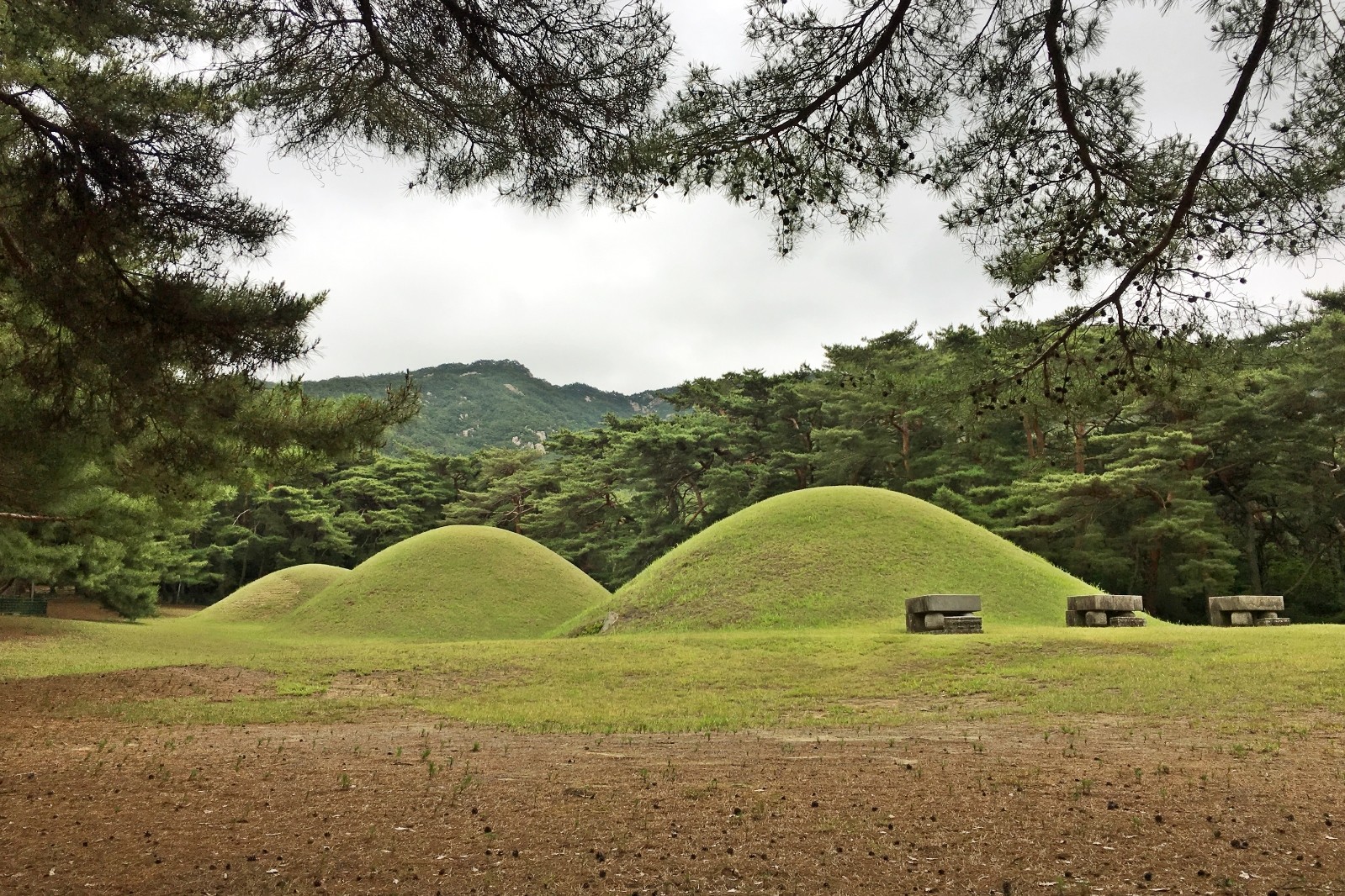 경주 남산 가을 단풍